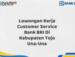 Lowongan Kerja Customer Service Bank BRI Di Kabupaten Tojo Una-Una Tahun 2025 (Segera Daftar Sebelum Terlambat)