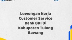 Lowongan Kerja Customer Service Bank BRI Di Kabupaten Tulang Bawang Tahun 2025 (Lamar Sekarang)