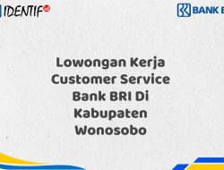 Lowongan Kerja Customer Service Bank BRI Di Kabupaten Wonosobo Tahun 2025 (Buruan Daftar Sekarang)