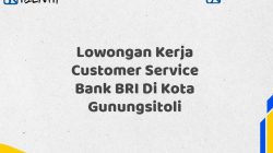 Lowongan Kerja Customer Service Bank BRI Di Kota Gunungsitoli Tahun 2025 (Buruan Daftar Sekarang)