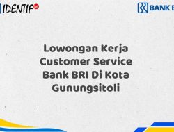 Lowongan Kerja Customer Service Bank BRI Di Kota Gunungsitoli Tahun 2025 (Buruan Daftar Sekarang)