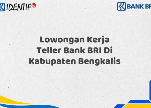 Lowongan Kerja Teller Bank BRI Di Kabupaten Bengkalis Tahun 2025 (Ayo Daftar Sekarang)