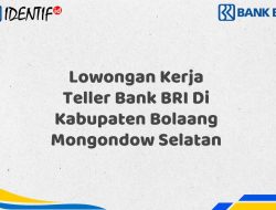 Lowongan Kerja Teller Bank BRI Di Kabupaten Bolaang Mongondow Selatan Tahun 2025 (Ayo Daftar Sekarang)