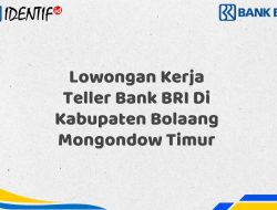 Lowongan Kerja Teller Bank BRI Di Kabupaten Bolaang Mongondow Timur Tahun 2025 (Daftar Sekarang)