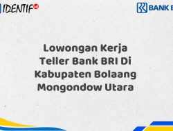 Lowongan Kerja Teller Bank BRI Di Kabupaten Bolaang Mongondow Utara Tahun 2025 (Yang Wajib Anda Ketahui)