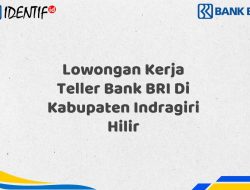 Lowongan Kerja Teller Bank BRI Di Kabupaten Indragiri Hilir Tahun 2025 (Ayo Daftar Sekarang)