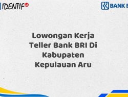 Lowongan Kerja Teller Bank BRI Di Kabupaten Kepulauan Aru Tahun 2025 (Resmi)