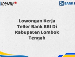 Lowongan Kerja Teller Bank BRI Di Kabupaten Lombok Tengah Tahun 2025 3 Lowongan Kerja Teller Bank BRI Di Kabupaten Lombok Tengah Tahun 2025