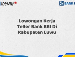 Lowongan Kerja Teller Bank BRI Di Kabupaten Luwu Tahun 2025 (Apply Now)