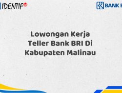 Lowongan Kerja Teller Bank BRI Di Kabupaten Malinau Tahun 2025 (Resmi)