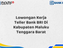 Lowongan Kerja Teller Bank BRI Di Kabupaten Maluku Tenggara Barat Tahun 2025 (Ayo Daftar Sekarang)