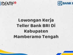 Lowongan Kerja Teller Bank BRI Di Kabupaten Mamberamo Tengah Tahun 2025 (Apply Now)