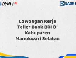 Lowongan Kerja Teller Bank BRI Di Kabupaten Manokwari Selatan Tahun 2025 (Apply Now)