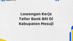 Lowongan Kerja Teller Bank BRI Di Kabupaten Mesuji Tahun 2025 (Yang Wajib Anda Ketahui)