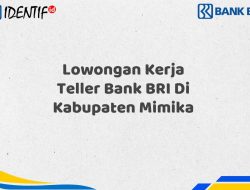 Lowongan Kerja Teller Bank BRI Di Kabupaten Mimika Tahun 2025 (Buruan Daftar Sekarang)