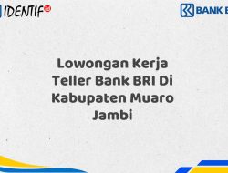 Lowongan Kerja Teller Bank BRI Di Kabupaten Muaro Jambi Tahun 2025 (Resmi)
