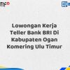 Lowongan Kerja Teller Bank BRI Di Kabupaten Ogan Komering Ulu Timur Tahun 2025 (Lamar Sekarang)