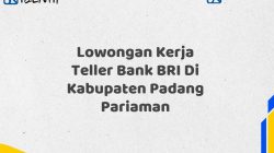 Lowongan Kerja Teller Bank BRI Di Kabupaten Padang Pariaman Tahun 2025 (Ayo Daftar Sekarang)