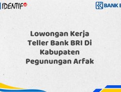 Lowongan Kerja Teller Bank BRI Di Kabupaten Pegunungan Arfak Tahun 2025 (Segera Daftar Sebelum Terlambat)