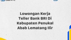 Lowongan Kerja Teller Bank BRI Di Kabupaten Penukal Abab Lematang Ilir Tahun 2025 (Resmi)