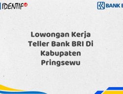 Lowongan Kerja Teller Bank BRI Di Kabupaten Pringsewu Tahun 2025 (Apply Now)