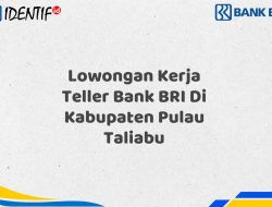 Lowongan Kerja Teller Bank BRI Di Kabupaten Pulau Taliabu Tahun 2025 (Apply Now)