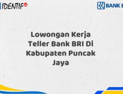 Lowongan Kerja Teller Bank BRI Di Kabupaten Puncak Jaya Tahun 2025 (Buruan Daftar Sekarang)