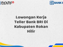 Lowongan Kerja Teller Bank BRI Di Kabupaten Rokan Hilir Tahun 2025 (Buruan Daftar Sekarang)