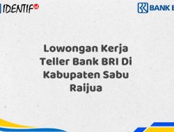Lowongan Kerja Teller Bank BRI Di Kabupaten Sabu Raijua Tahun 2025 (Apply Now)