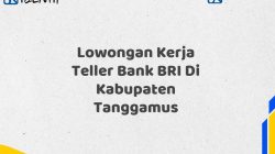 Lowongan Kerja Teller Bank BRI Di Kabupaten Tanggamus