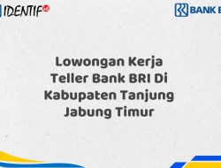 Lowongan Kerja Teller Bank BRI Di Kabupaten Tanjung Jabung Timur Tahun 2025 (Ayo Daftar Sekarang)