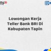 Lowongan Kerja Teller Bank BRI Di Kabupaten Tapin Tahun 2025 (Buruan Daftar Sekarang)