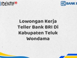Lowongan Kerja Teller Bank BRI Di Kabupaten Teluk Wondama Tahun 2025 (Apply Now)