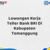Lowongan Kerja Teller Bank BRI Di Kabupaten Temanggung Tahun 2025 (Segera Daftar Sebelum Terlambat)