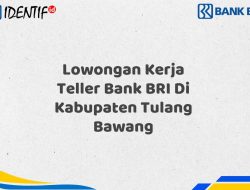 Lowongan Kerja Teller Bank BRI Di Kabupaten Tulang Bawang Tahun 2025 (Buruan Daftar Sekarang)
