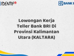 Lowongan Kerja Teller Bank BRI Di Provinsi Kalimantan Utara (KALTARA) Tahun 2025 (Lamar Sekarang)