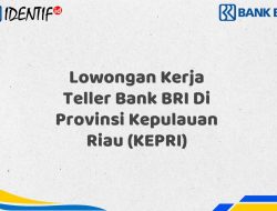 Lowongan Kerja Teller Bank BRI Di Provinsi Kepulauan Riau (KEPRI) Tahun 2025 (Yang Wajib Anda Ketahui)