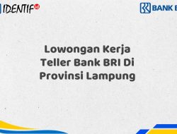 Lowongan Kerja Teller Bank BRI Di Provinsi Lampung Tahun 2025