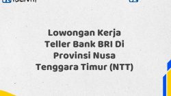 Lowongan Kerja Teller Bank BRI Di Provinsi Nusa Tenggara Timur (NTT) Tahun 2025 (Yang Wajib Anda Ketahui)
