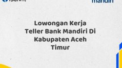 Lowongan Kerja Teller Bank Mandiri Di Kabupaten Aceh Timur Tahun 2025 (Yang Wajib Anda Ketahui)