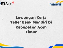 Lowongan Kerja Teller Bank Mandiri Di Kabupaten Aceh Timur Tahun 2025 (Yang Wajib Anda Ketahui)