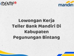 Lowongan Kerja Teller Bank Mandiri Di Kabupaten Pegunungan Bintang Tahun 2025 (Yang Wajib Anda Ketahui)