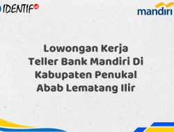 Lowongan Kerja Teller Bank Mandiri Di Kabupaten Penukal Abab Lematang Ilir Tahun 2025 (Lamar Sekarang)