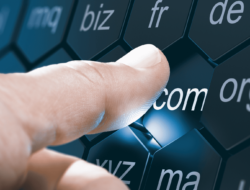 5 Penyedia Domain Terbaik di Indonesia untuk Tahun 2025: Mana yang Paling Worth It?