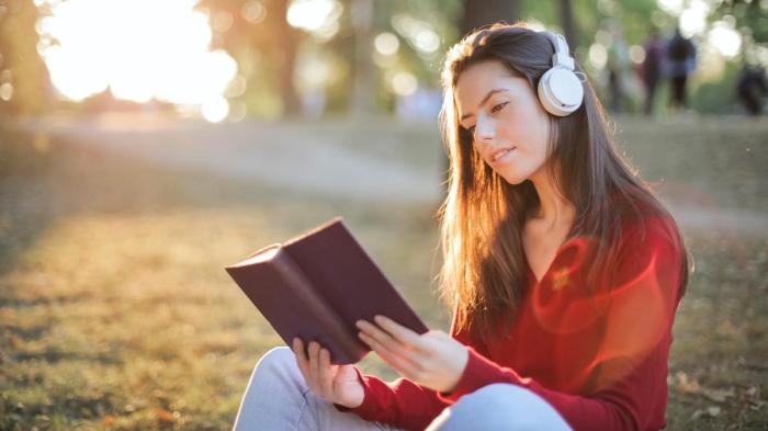 Bila kita mendengarkan lagu yang terdengar hanya suara musik disebut