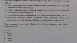 Memahami Pernyataan Analisis Mendalam