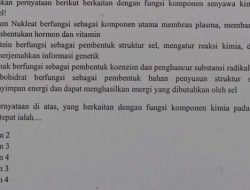 Memahami Pernyataan Analisis Mendalam