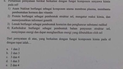 Perhatikan pernyataan dibawah ini