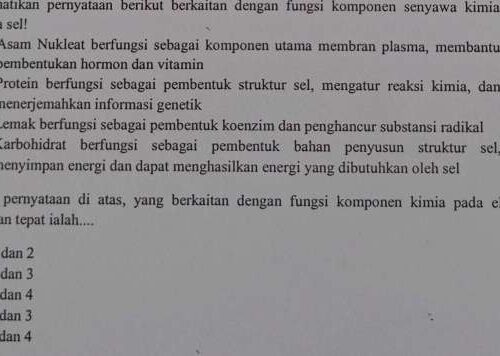 Memahami Pernyataan Analisis Mendalam