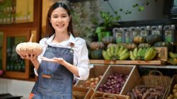 Sumber peluang usaha dari faktor eksternal adalah
